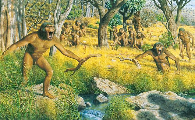 AUSTRALOPITHECUS AFRICANUS