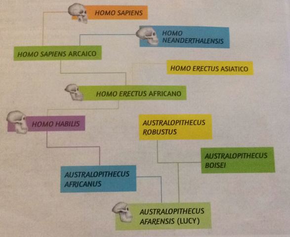IL NOSTRO DIRETTO ANTENATO