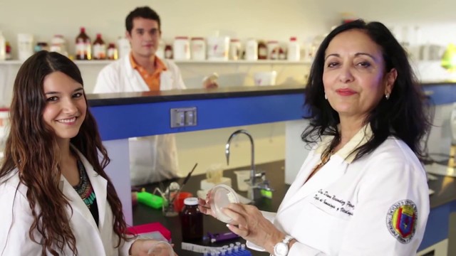 Planes de estudio del QBP