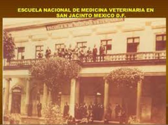 La Escuela Nacional de Medicina de Veterinaria