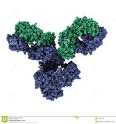 Anticuerpo Monoclonal