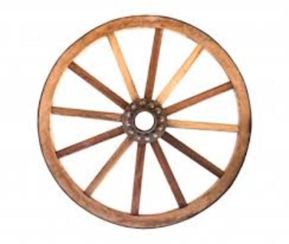 Wheel