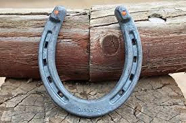 Horseshoe