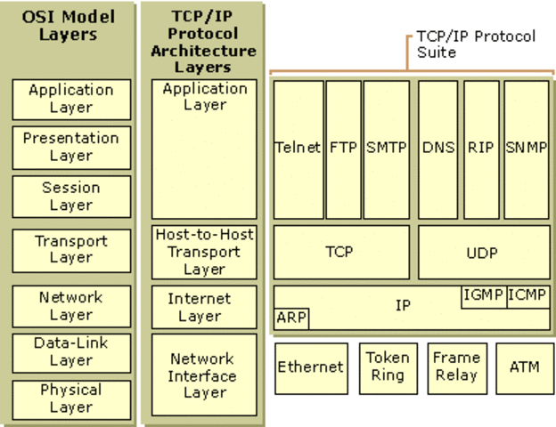 TCP/IP protocol