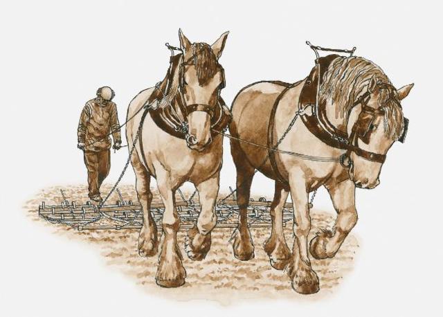 la agricultura y el ganado