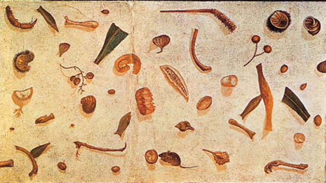 Unswept House, Unswept Floor