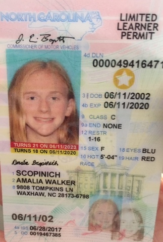 Yo pasé mi permitir de conductor examen.