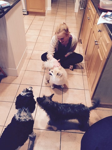 Yo tuve un trabajo del perro.