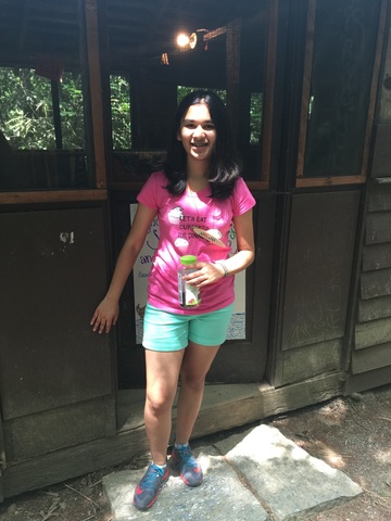 Cámping En El Verano