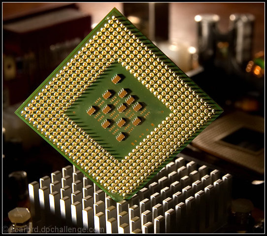 Creación de los chips