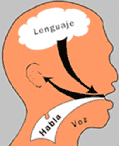 EL HABLA Y EL LENGUAJE