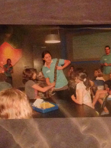 Aprendí sobre animales con mi clase