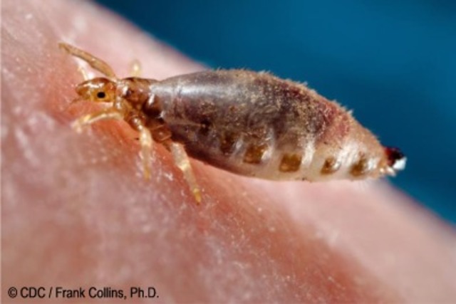 Jose Maria Rodriguez