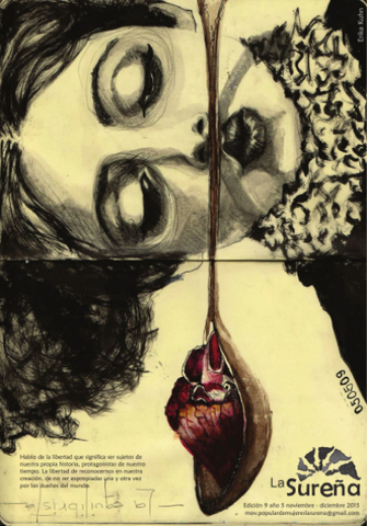 Concepción de la revista La Sureña