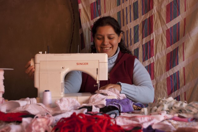 Surgen Nuevos Programas en este nuevo período.