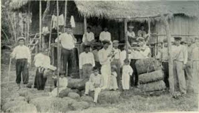 Los primeros tiempos en Orocué