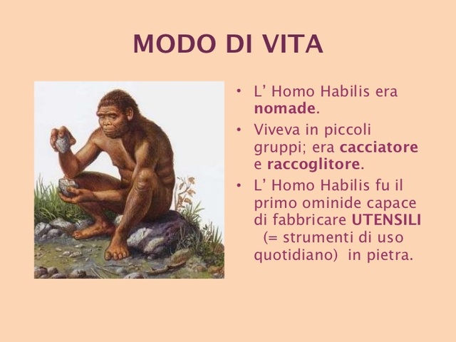 L'Homo Abilis