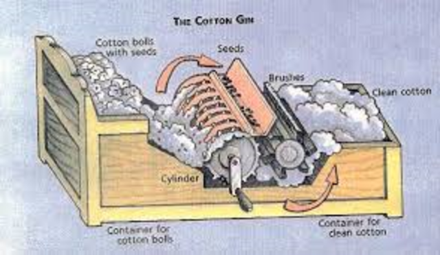 The Cotton Gin