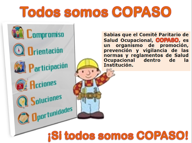 COMITE PARITARIO DE SALUD OCUPACIONAL