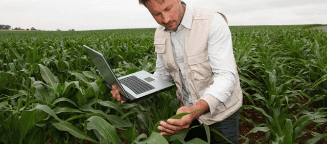 Engineer Agronomist
