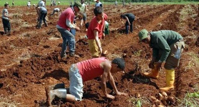 Edad Contemporánea Alemania - 1891