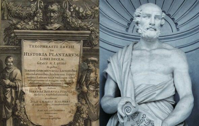 Liceo después de Aristóteles