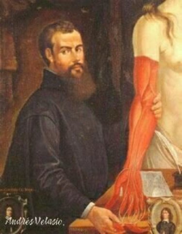 Andrés Vesalio (1514-1564)