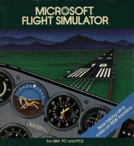 Flight Simulator