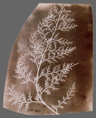 William Henry Fox Talbot, patentó el calotipo