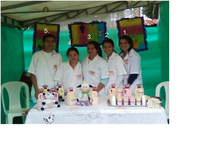 CREACIÓN DE LA EMPRESA