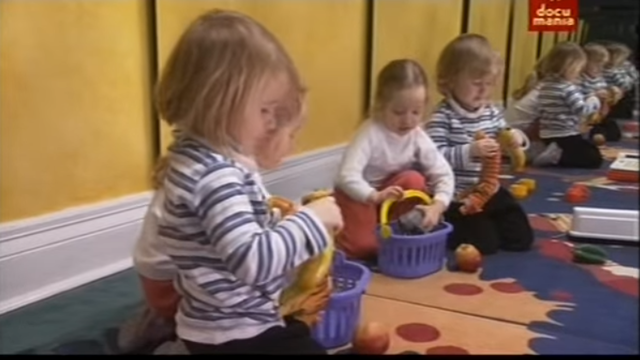 24 meses en adelante (infancia)