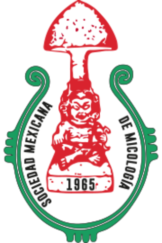 Gastón Guzmán Huerta y Teófilo Herrera Suarez