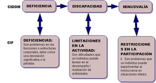 MODELO MÉDICO - OMS