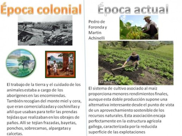 Evolución de la edad actual