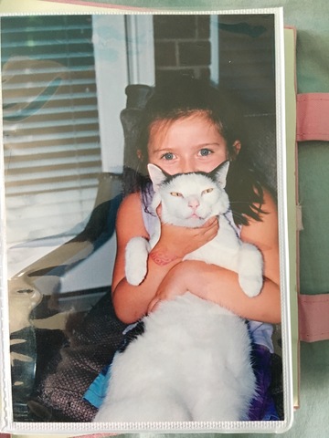 Yo tengo mis gatos. Sus nombres eran O'malley y Panther.