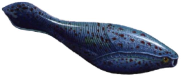 Descendientes de la Pikaia