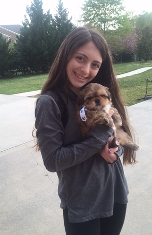 Mi familia y yo tuvimos un perro.