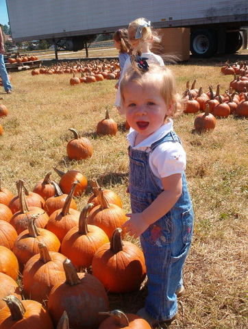 Yo escogí calabazas en las montañas.