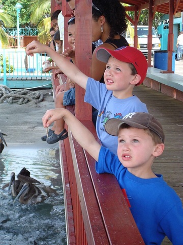 El Viaje de Primavera