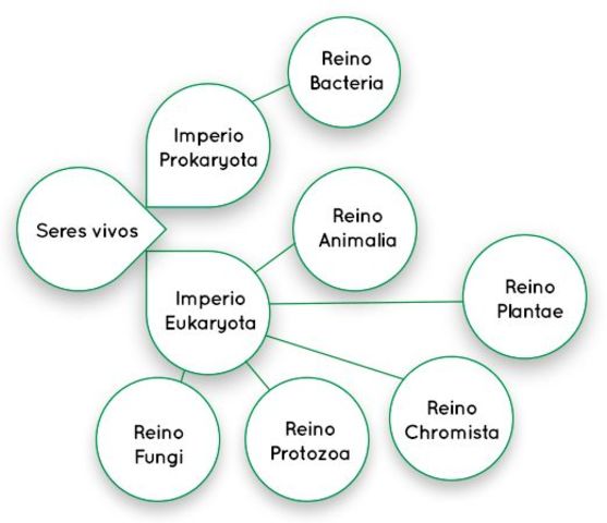 Thomas Cavalier- Smith