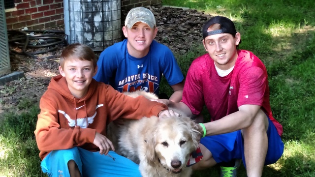 mi perro favorito murió porque él era viejo