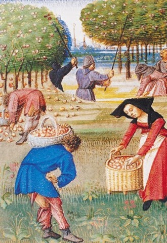 NIÑOS DE CLASE MEDIA .