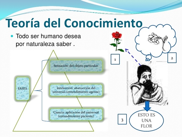 Conocimiento Empírico - Aristóteles