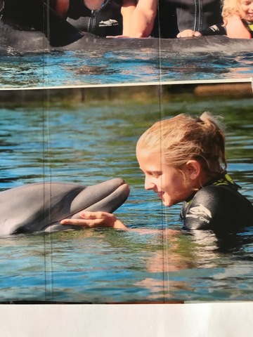 Yo besé un delfín.