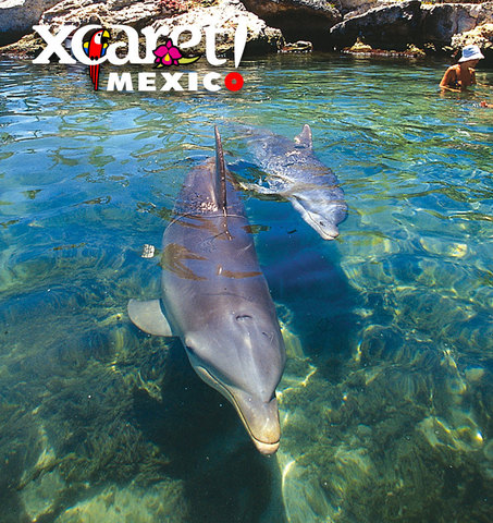 Xcaret