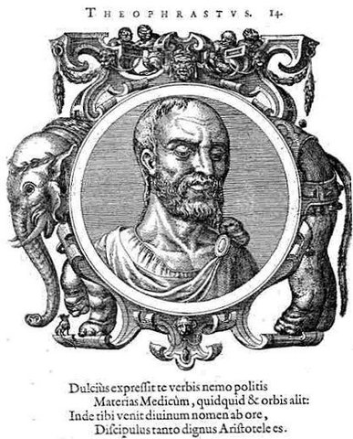 Teofrasto jefe del Liceo