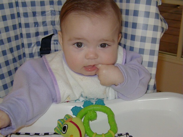 Comí alimentos sólidos