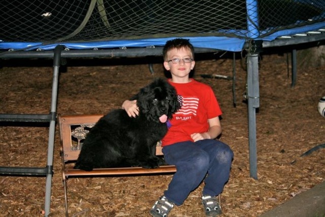 el día cuando recibí mi perro