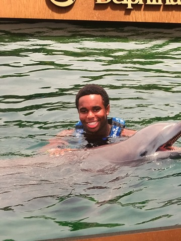 Yo nadé con delfines en México.