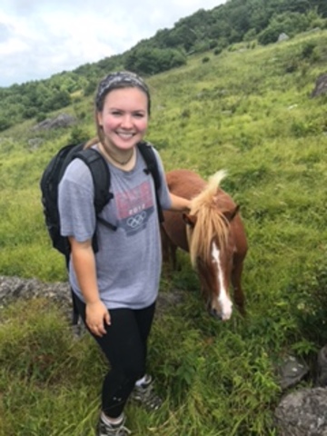 Obtengo Mi Licencia De Conducir